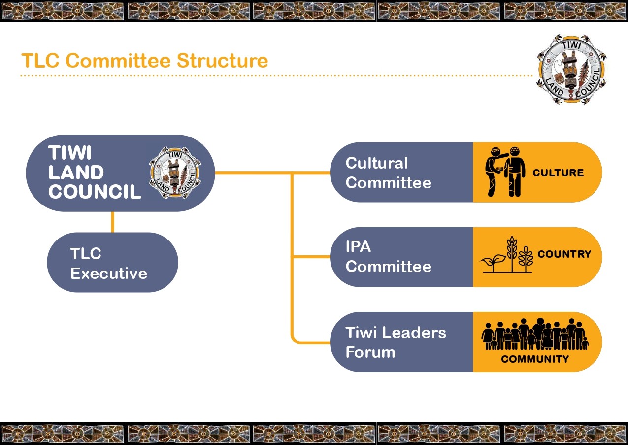 TLC Organisational Structure