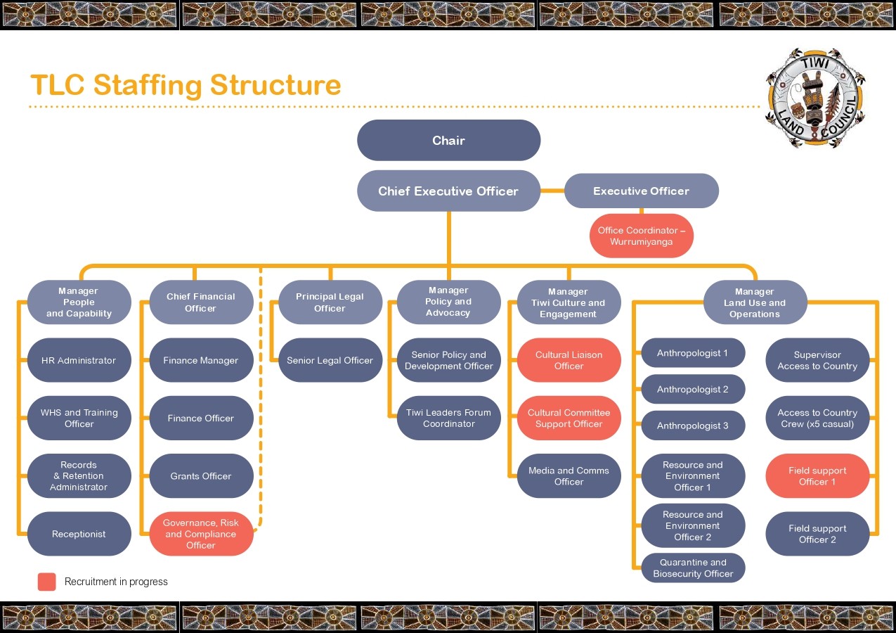 TLC Organisational Structure